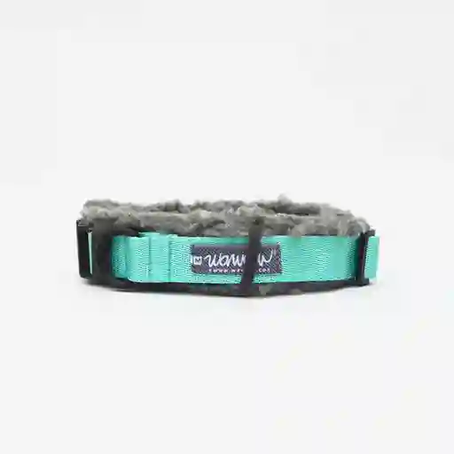 Collar Xl Menta + Protector Borregro Gris
