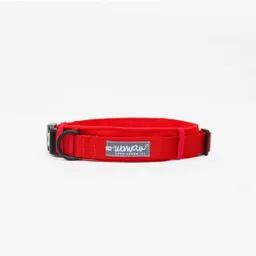 Collar Xl Rojo + Protector Rojo