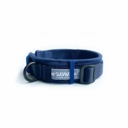 Collar S Azul Con Protector