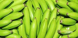 Banano Criollo Verde O Pinton