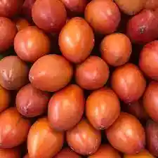 Tomate De Arbol Rojo E Ingerto De Mora