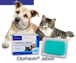 Jabon Clorhexin X 100 Gr