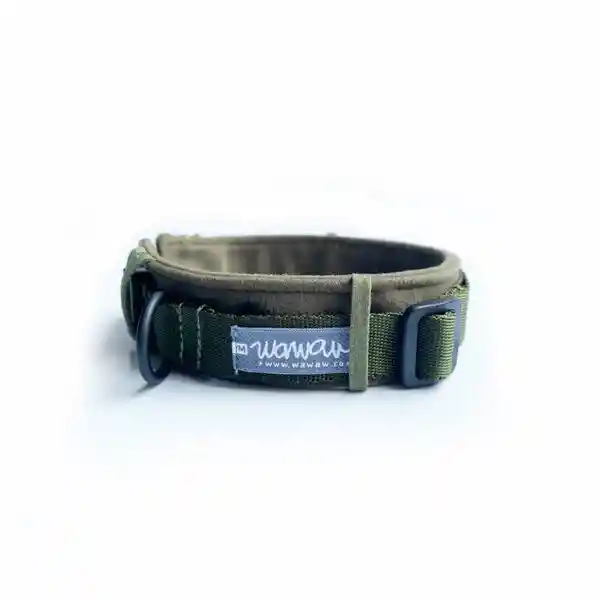 Collar S Verde Con Protector