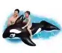 Flotador Grande Piscina Ballena 193 X 119 Cms Importado