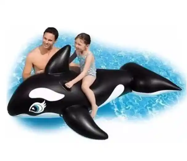 Flotador Grande Piscina Ballena 193 X 119 Cms Importado