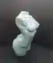 Torso Mujer Con Acabado Tipo Piedra