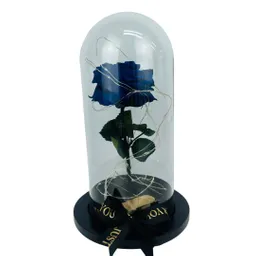 Rosa Azul Preservada Con Luz