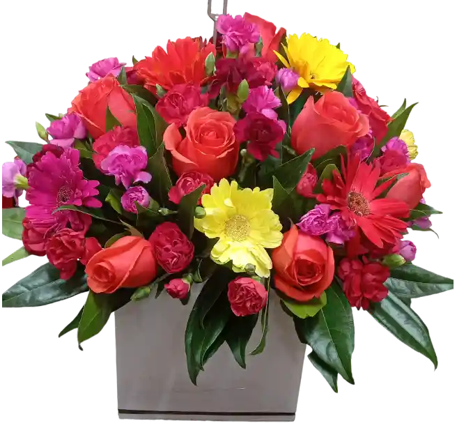 Caja Tropical
