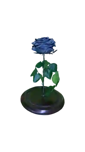Rosa Preservada