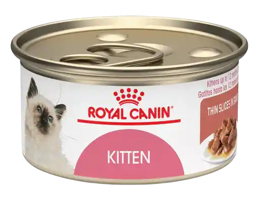 Royal Canin Kitten Lata 85 Gr