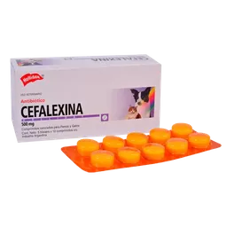 Cefalexina 500 Mg Blister 10 Tabletas