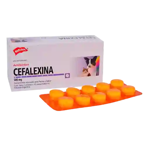 Cefalexina 500 Mg Blister 10 Tabletas