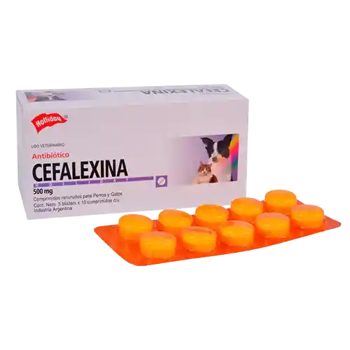 Cefalexina 500 Mg Blister 10 Tabletas