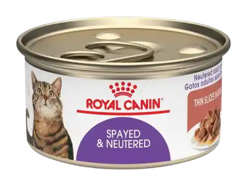 Royal Canin Spayed Neutered Lata 80 Gr