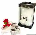 Oso De Rosas Blanco Pequeño + Caja X 6 Fresas Con Chocolate