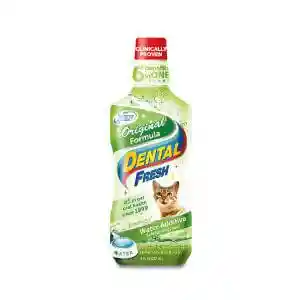 Dental Fresh Cat X 8 Oz