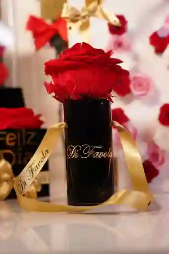 Detalle Pequeño De Amor Y Amistad. Cilindro Negro Petit De Rosa Roja Preservada
