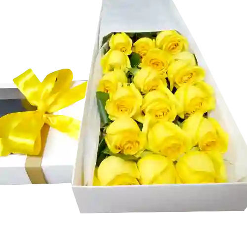 Rosas Amarillas En Caja