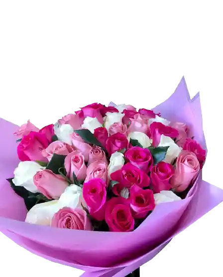 Rosas Rosadas, Fucsias, Blancas Amor Y Amistad