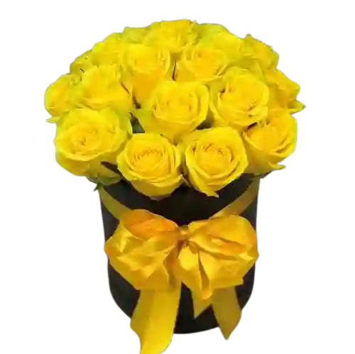 Rosas Amarillas En Caja Cilíndrica