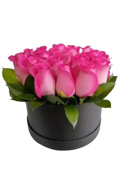 Rosas Fucsias En Caja Cilíndrica