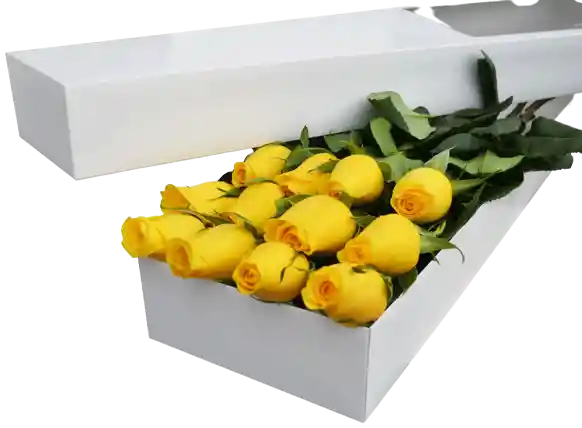 Rosas Amarillas En Caja