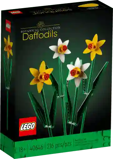 Narcisos