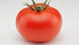 Tomate Larga Vida