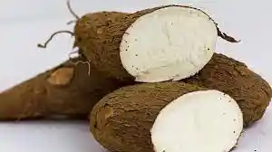 Yuca Gruesa