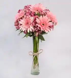 Gerberas Y Margaritas Rosadas