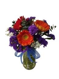 Diseño En Gerberas Salva