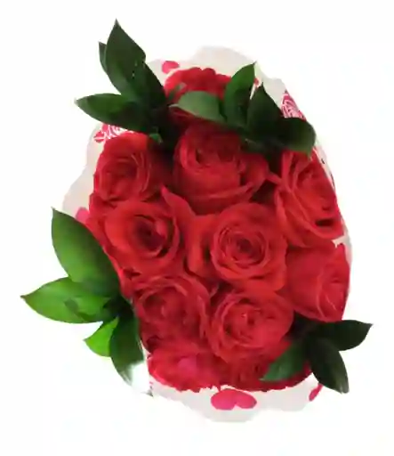 Ramo O Bouquet X 12 Rosas Rojas