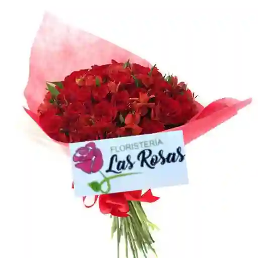 Rosas Rojas Astro