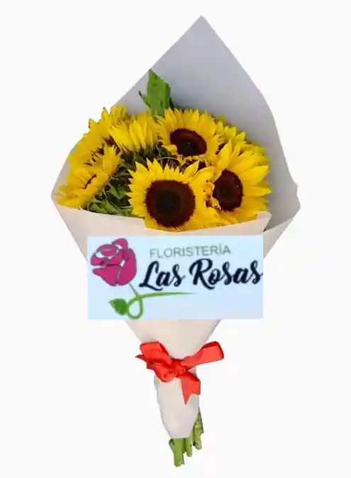 Girasoles