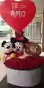 C Aja Minie Y Mikey Corazon