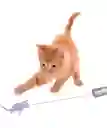 Juguete Laser Para Gatos Y Perros