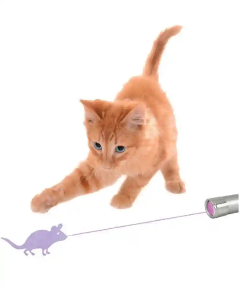Juguete Laser Para Gatos Y Perros