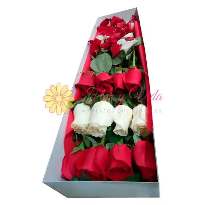 Caja X12 Rosas