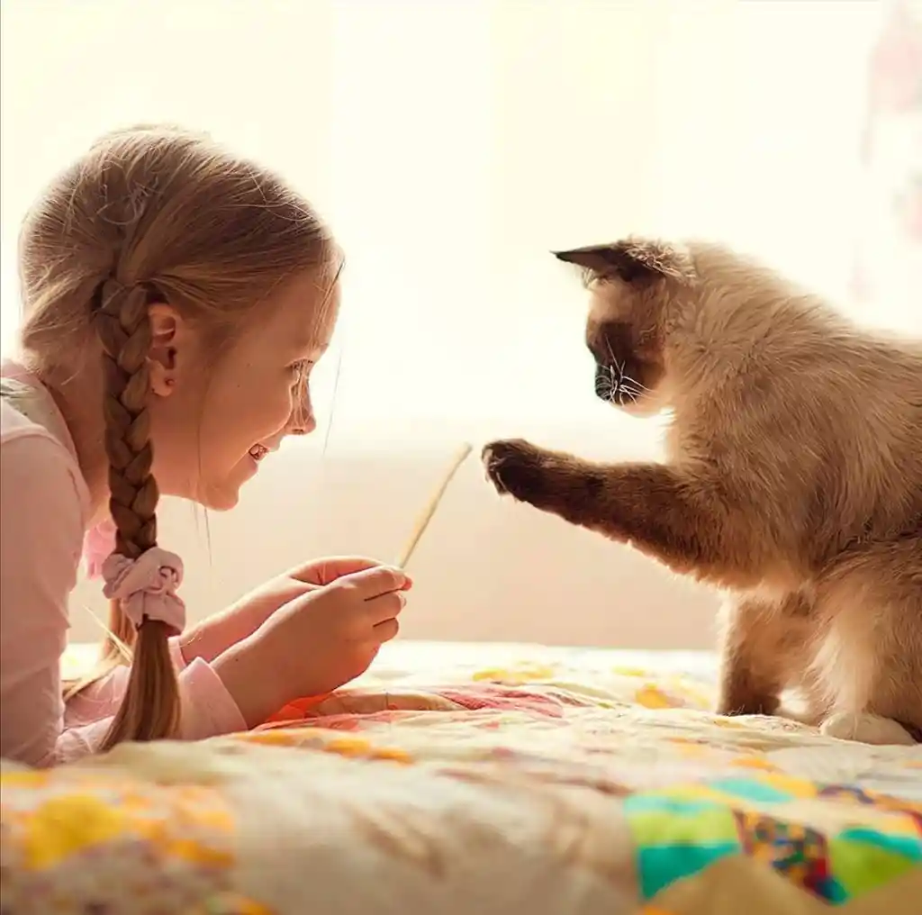 Snack Para Gato Cabano De Salmon Y Trucha