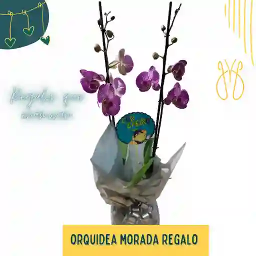 Orquidea Morada Dos Varas Regalo