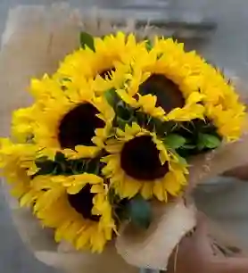 6 Girasoles En Bouquet