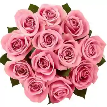 Rosas Rosadas