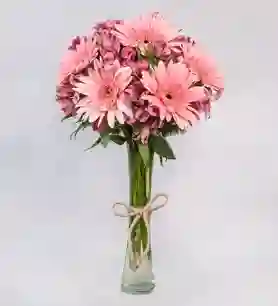 Gerberas Y Margaritas Rosadas