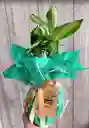 Tronco De La Felicidad Pequeño - Detalle Con Amor Para Regalo En Fecha Especial, San Valentín, Cumpleaños, Aniversario, Condolencias, Graduación, Felicitaciones Y Agradecimiento.