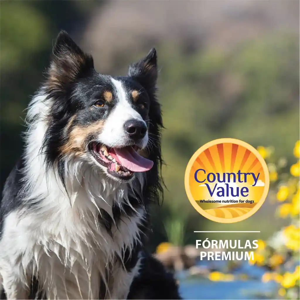 Country Value Perro 3 Kg