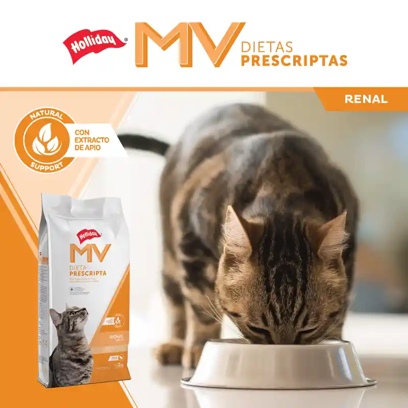 Alimento Renal Para Gatos 2 Kg Dieta Renal Para Gatos Holliday 2kg Gatos Renal Alimento Renal