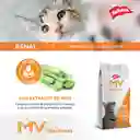 Dieta Renal Para Gatos Mv 2 Kg