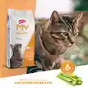 Dieta Renal Para Gatos Mv 2 Kg