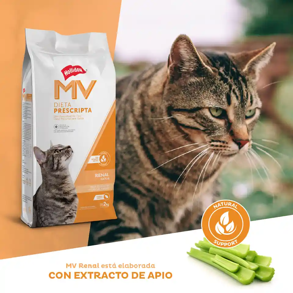 Dieta Renal Para Gatos Mv 2 Kg