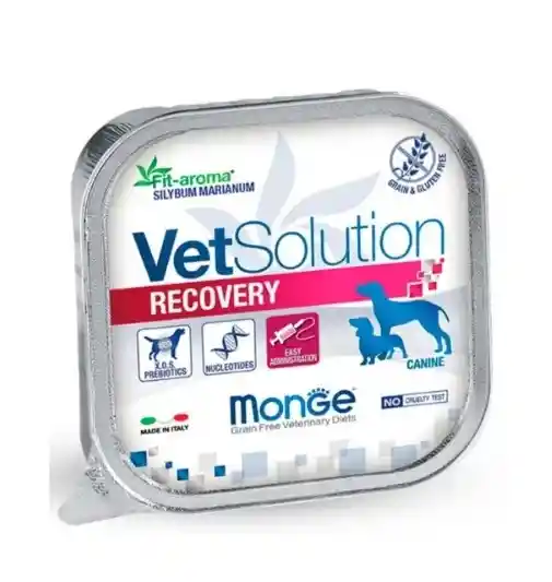 Monge Vet Solution Dog Recovery